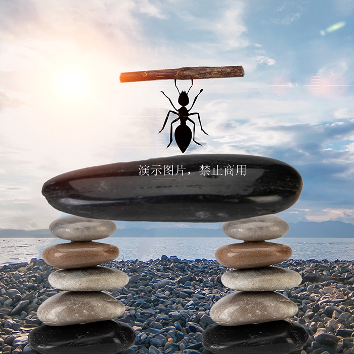 蓝鲸自然健康（深圳）有限公司