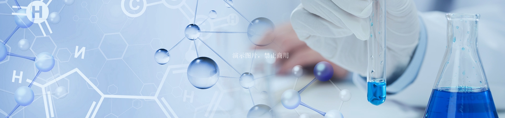 检测服务